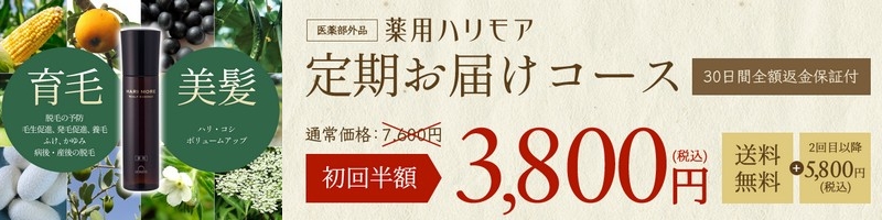 �����̂��߂̈�э܁u��p�n�����A�v���T�C�g